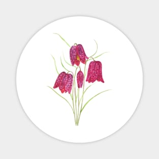 red snake's head fritillary watercolor Magnet